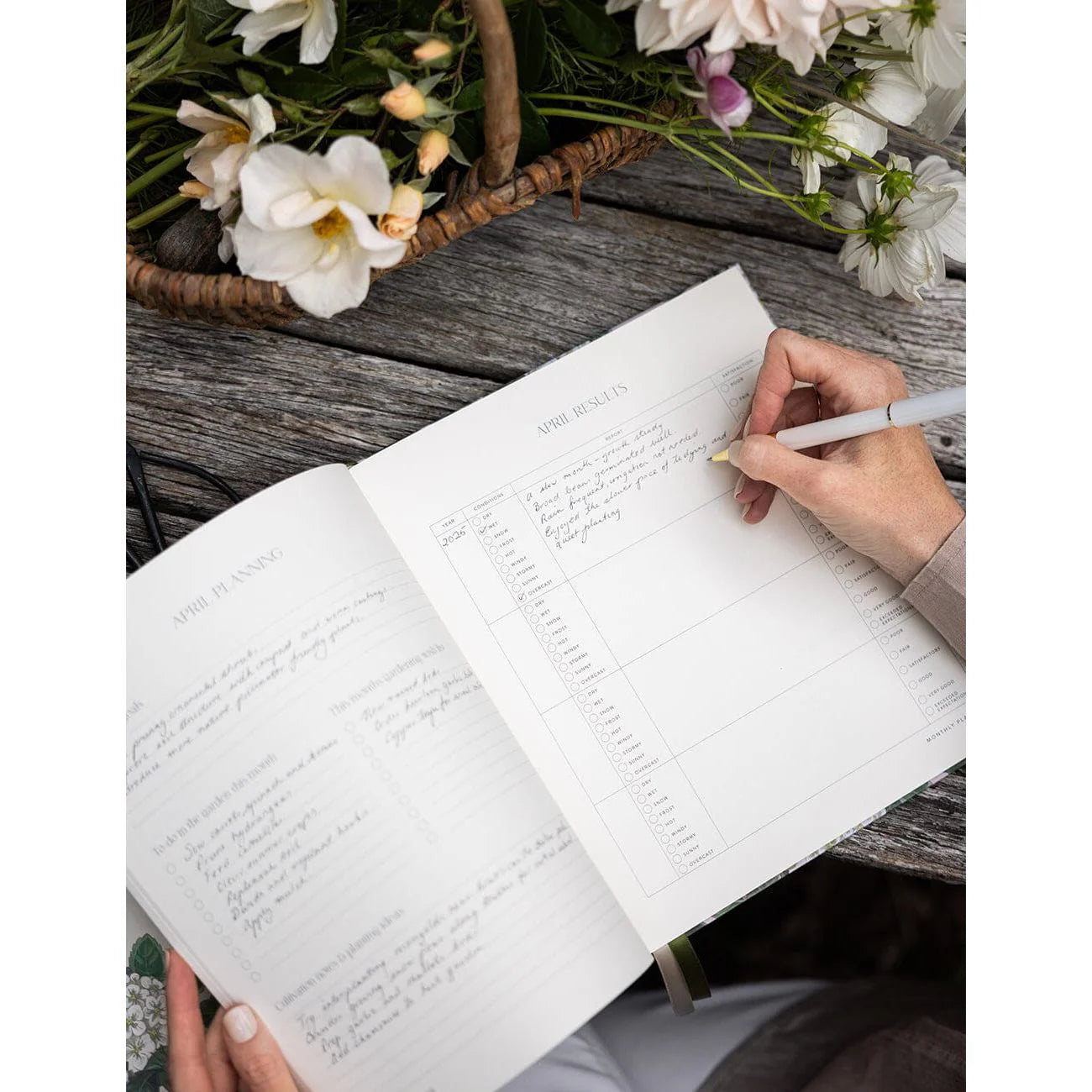 Heirloom Gardening Journal | Hydrangea