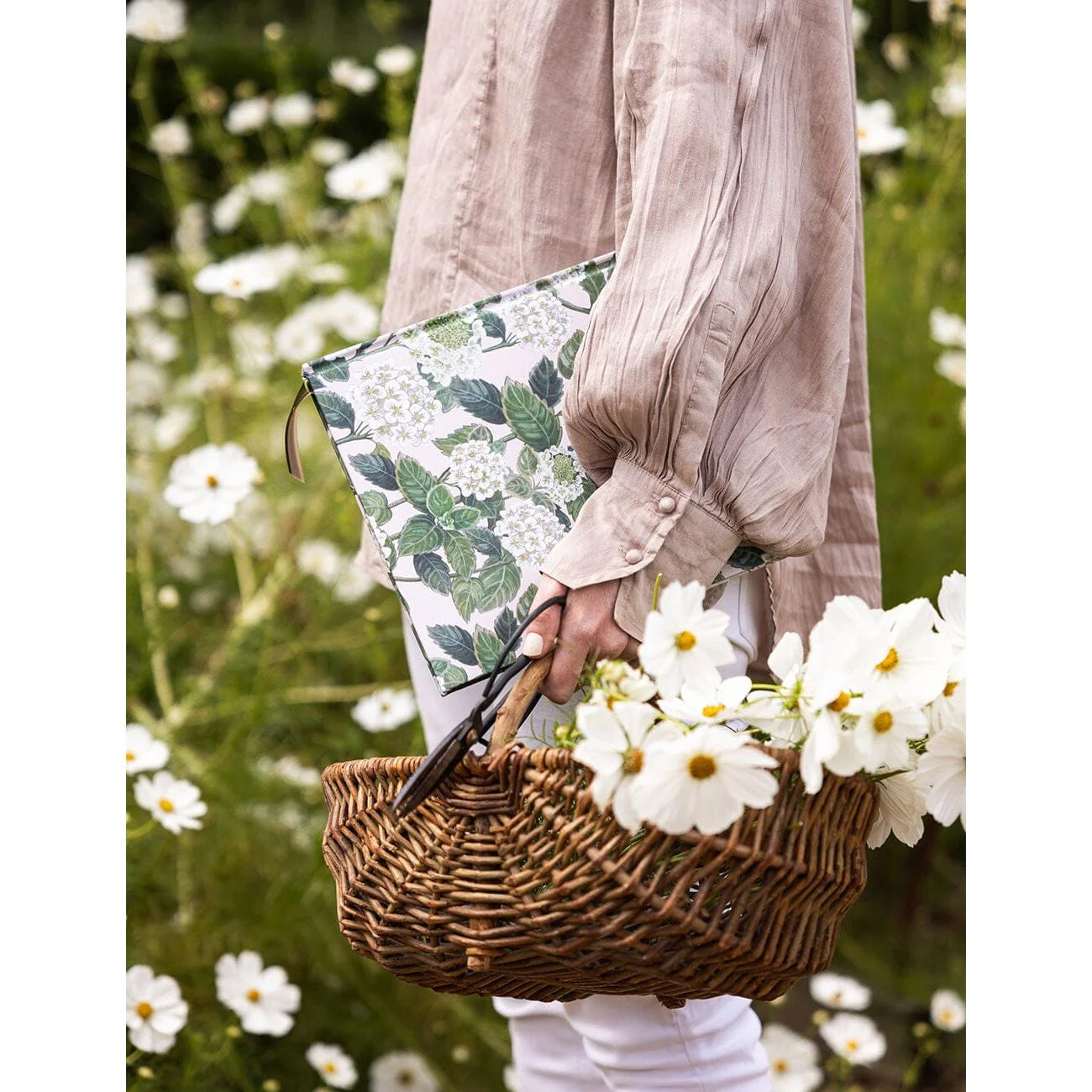 Heirloom Gardening Journal | Hydrangea