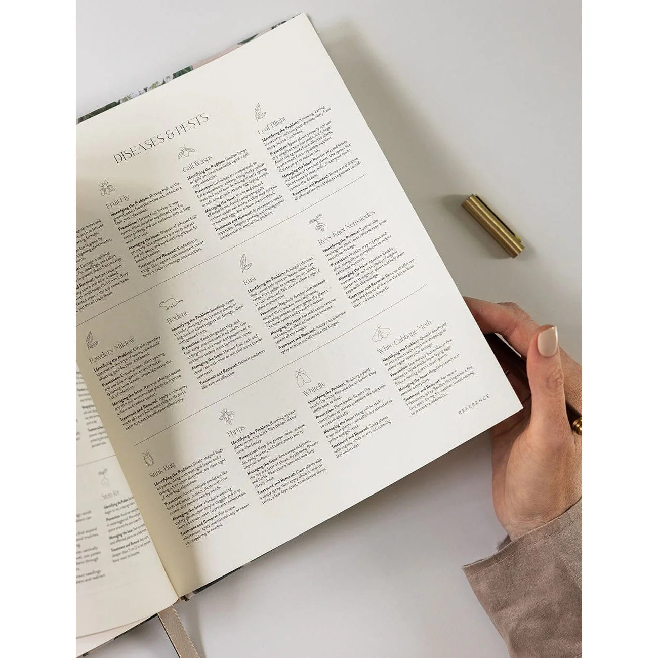 Heirloom Gardening Journal | Hydrangea